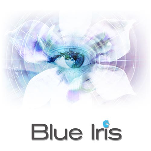 Blue Iris 5.7.9.4 Crack With License Key 2024 Free Download Here
