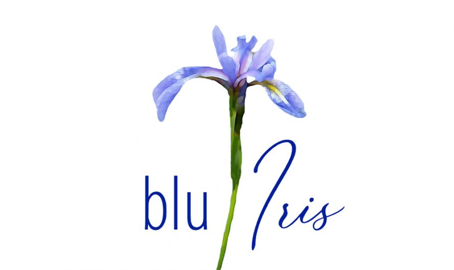 Blue Iris 5.3.2.2 Crack Archives version