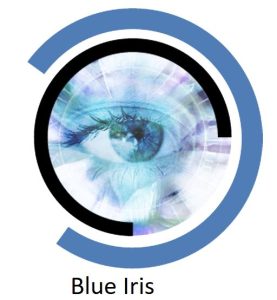 Blue Iris 5.6.3.6 Crack + License Key 2023 Free Download