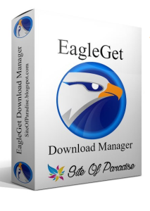 EagleGet 2.1.6.80 Crack + Free Download Full Activated 2024